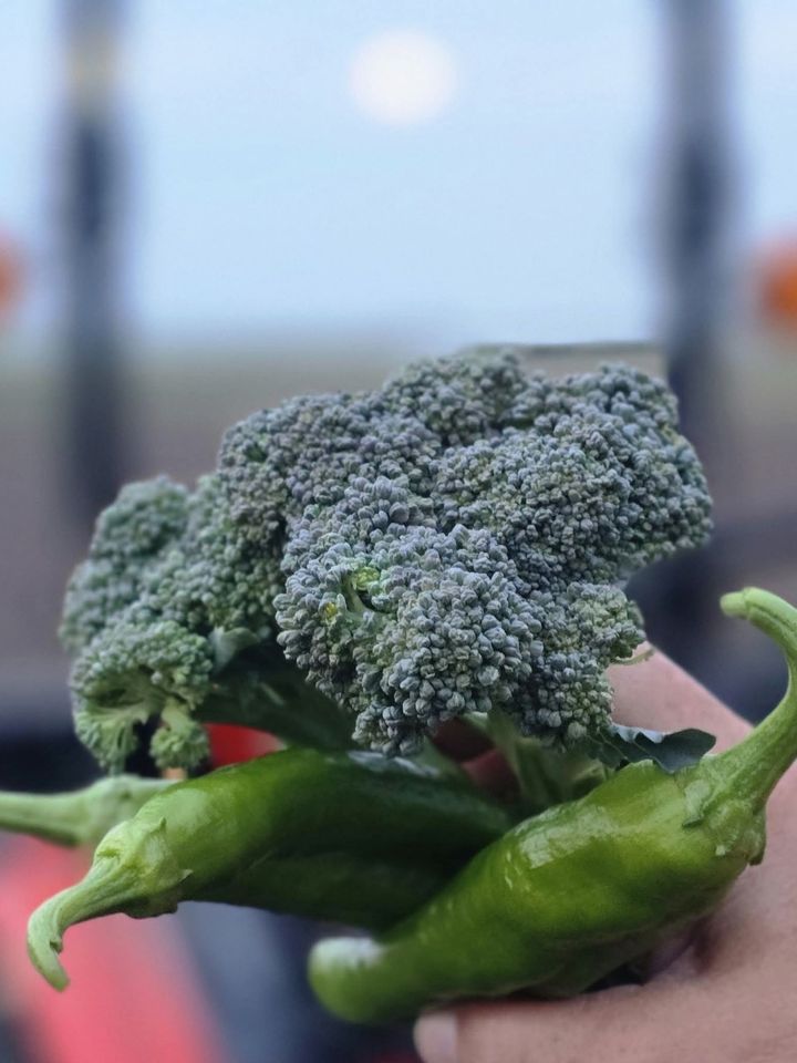 A hand holding a head of broccoli and green peppers in front of a tractor